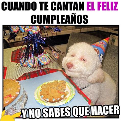 videos de feliz cumpleaños|feliz cumpleanos gracioso.